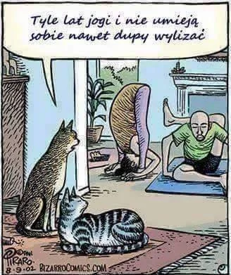 TiempoSanto - #pewniebyloaledobre #humorobrazkowy #heheszki #koty #wykopstronazesmies...