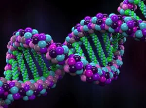 mateusz-wielgosz-777 - Naukowcy stworzyli DNA z zupełnie nową parą zasad

#nauka #bio...