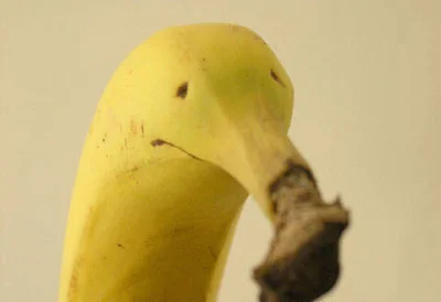 kewin2430 - Plus, jeśli chcecie żeby banan wrócił do rodziny na święta