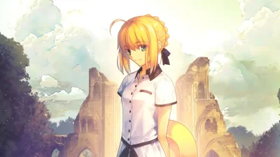 d.....g - #randomanimeshit #fate #saber