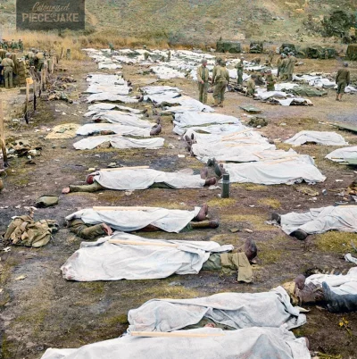 wojna - Ciała amerykańskich i niemieckich żołnierzy poległych w walkach podczas pierw...