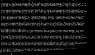 botul - Sobotnia #pracbaza w #serwerownia - upgrade serwerów #linux #debian