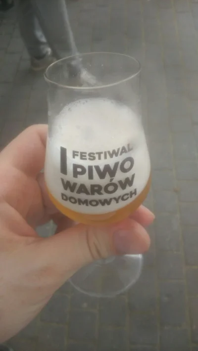 polik95 - Ten kto wpadł na pomysł tego festiwalu był pieprzonym geniuszem
#piwo #pijz...