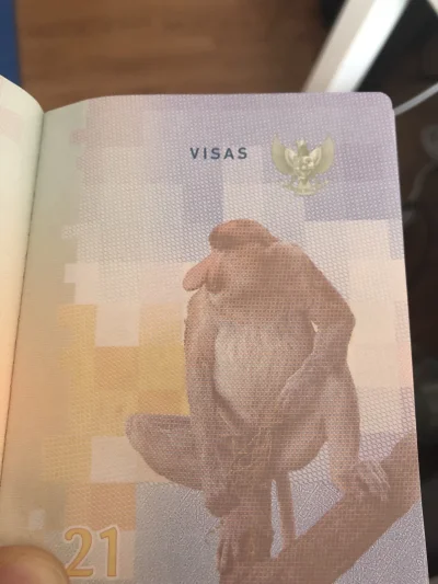 miksturyn - Nowe paszporty wydawane w Indonezji 
#ciekawostki #heheszki #indonezja #n...