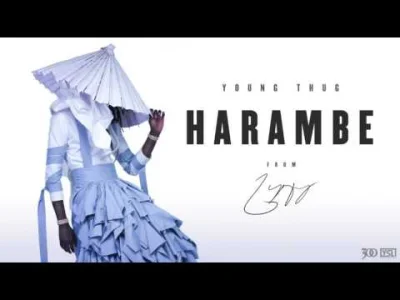 Matines - Young Thug - Harambe
głos thuggera to złoto
#rap #muzyka #yeezymafia #you...