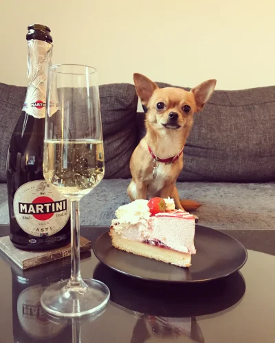 bzyk260 - Szczęśliwego nowego roku życzy Edek #sylwester #sylwesterzwykopem #smieszny...