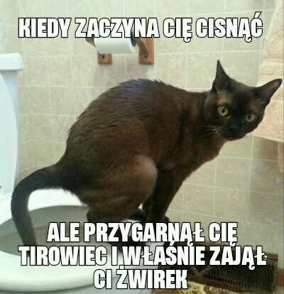 Zajakiegrzechy - #bekaztransa #heheszki #humorobrazkowy #smiesznekotki #pasjonaciubog...