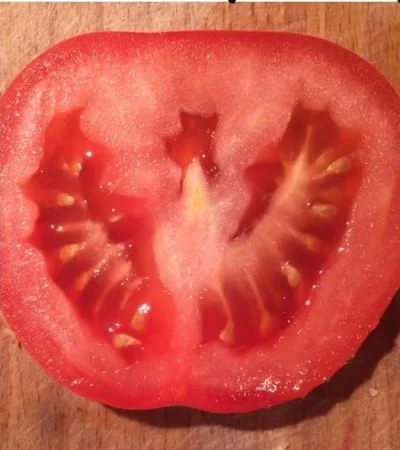 w.....z - A my tam jesteśmy dumni ze swoich pomidorów. ( ͡° ͜ʖ ͡°)