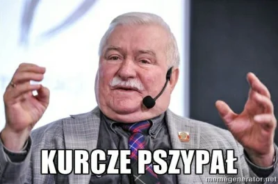 skervesen - Heheszki #walesa #humorobrazkowy #ipn