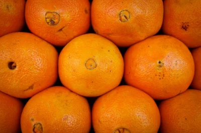tomy86 - #protip na #swieta 

Pomarańcze kupujemy tylko z "pępkiem". Mamy wtedy gwa...