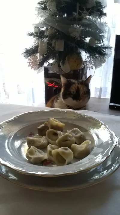 D.....n - Świąteczny obiad z nieznajomym ( ͡° ͜ʖ ͡°) 

#koty #kot #swieta2014