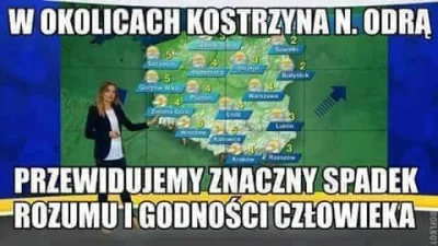 Nooiiizy - Kogo widzę na woodstocku? ( ͡° ͜ʖ ͡°)