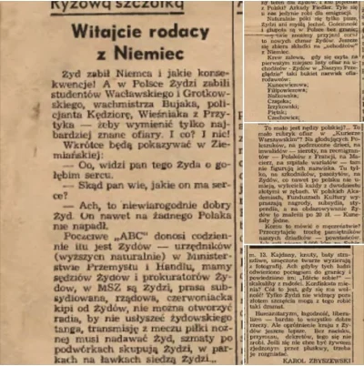 Andreth - Jest rok 1937. Niemcy wyrzucają Żydów z polskim paszportem, ograbiając ich ...