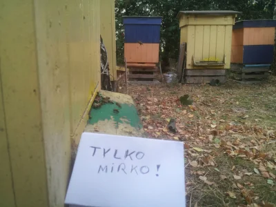 itus - @keriM_87: Jeszcze Polska nie zginęła kiedy...pszczoły mamy ( ͡° ͜ʖ ͡°)