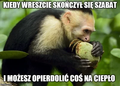 bajger_tonzo - #heheszki #humorobrazkowy 
#zyd #polak #ukrainiec