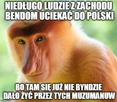 AsuriTeyze - #polak #bekazprawakow #Neuropa