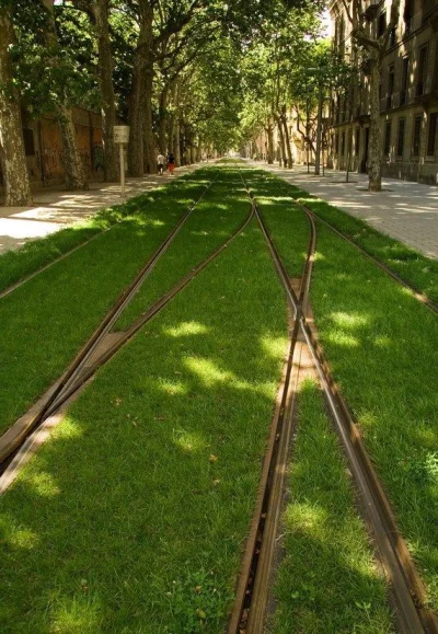 lewactwo - Zielone torowiska tramwajowe

#tramwaje