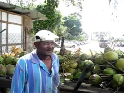 Ustrojstwo - @WuDwaKa: tylko frajerzy walą tępą strona maczety w kokosa,prawdziwi mac...