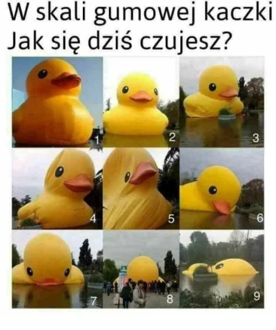 dejvus - Jak się dziś czujecie w skali gumowej kaczki?