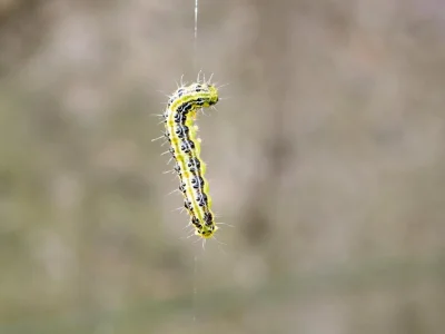 StaryZielony - Dziękuję, dobranoc.