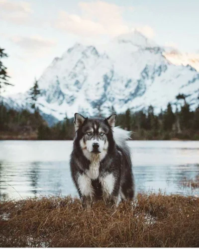 f.....y - #earthporn #azylboners