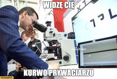 I.....n - Narodowi Socjaliści z PiS przypominają "handlarzy", którzy ruchają w dupę s...