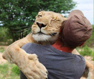 Siaa - Darmowe przytulasy! 

(｡◕‿◕｡)
#heheszki #koty #zwierzaczki #zwierzeta #smieszn...