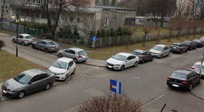 ChempyTuj - Dzisiaj rano przyjeżdżam do pracy i z okna widzę takiego oto artystę park...