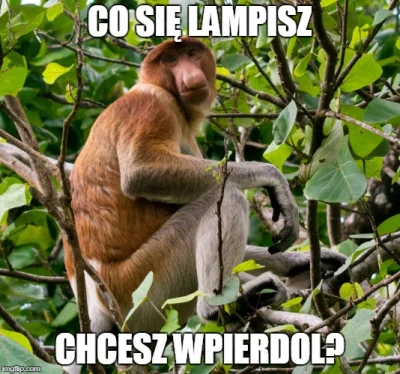 ZasilaczKomputerowy - @zbigniew-wu: xD