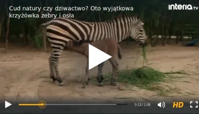 bioslawek - @BQP: ( ͡° ͜ʖ ͡°)


http://www.interia.tv/wideo-cud-natury-czy-dziwact...