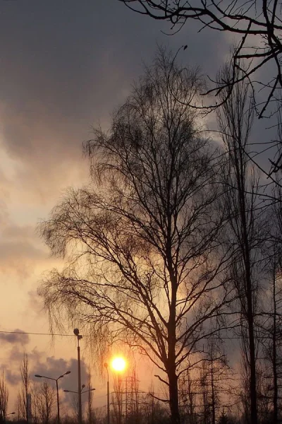 rain-bow - #foto #zima #sunset