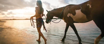 Morituria - plaże oraz koń
#beachesandhorses 
(⌐ ͡■ ͜ʖ ͡■)
SPOILER