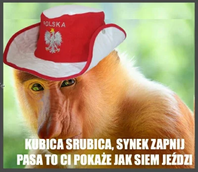 Rozpustnik - @g00tec Polaczki w rozpaczy ( ͡° ͜ʖ ͡°)

Zawistne Janusze będę teraz psy...