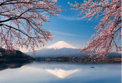 PiotrekPan - Ślimaczku,
Wspinaj się na górę Fuji,
Ale powoli, powoli!
#earthporn #...