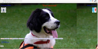 einz - #webdesign #internet

Szukam informacji o psach ratownikach w WOPRach i powi...
