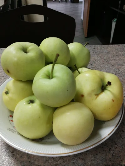 T.....i - Proszę jabłko na dzień dobry, smaczne i zdrowe ( ͡º ͜ʖ͡º) #jabolowaplaylist...