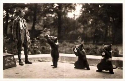 MiejscaWeWroclawiu - Karmienie niedźwiadków we Wrocławskim Zoo w latach 1930 ( ͡° ͜ʖ ...