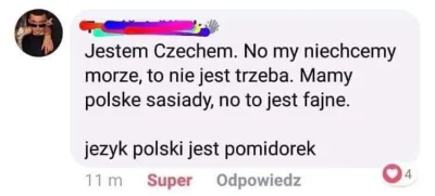 Zdzichu333 - #ceskememy #czeskiememy #heheszki #humorobrazkowy