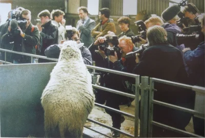 v.....i - 1997, Owca Dolly - pierwsze sklonowane zwierze 

#fotohistoria