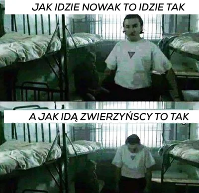 Trollwykopowy - przypominam klasyk XD
#danielmagical