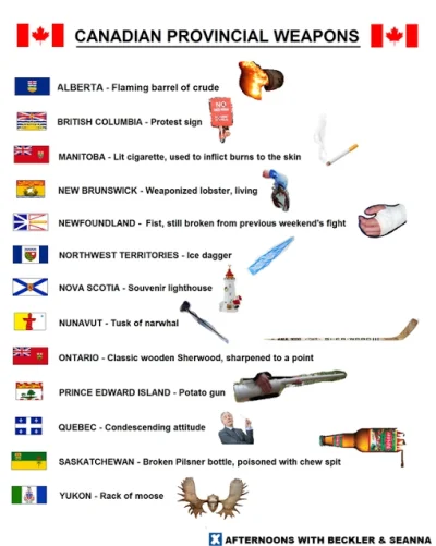 vendaval - Oto lista prowincjonalnych broni w Kanadzie - ciekawe, które trafią na Ukr...
