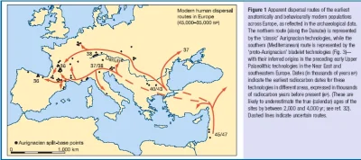 Breaux - Pierwszy raz słyszę teorię, że homo sapiens przybył do Europy bezpośrednio z...
