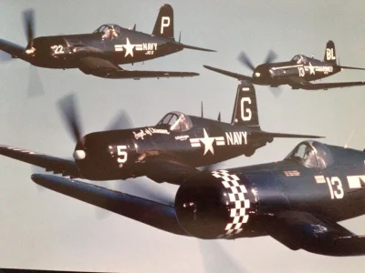 CanisLupusLupus - #aircraftboners #corsair