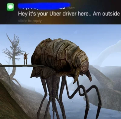 syntezjusz - #uber #heheszki #humorobrazkowy #morrowind #theelderscrolls #gry