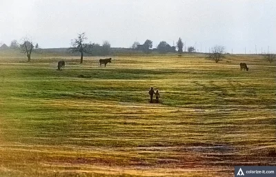 l-da - beztroskie lata na wsi
#kolorowane #wies #historia #natura #fotografie #zdjec...