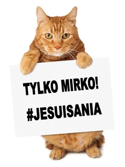 xvovx - Koteły się przyłączajo. ( ͡º ͜ʖ͡º)
#jesuisania #jestemania