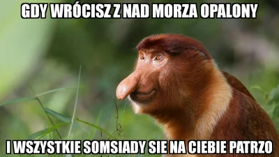 KajetanxPoznanski - #polak #nosaczsundajski #wakacje #heheszki #humorobrazkowy