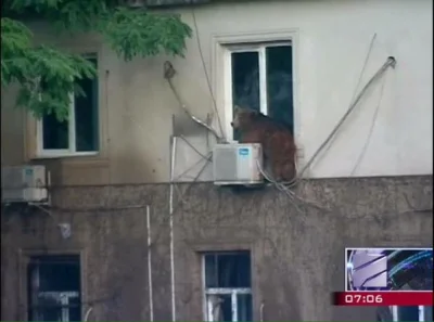 i.....f - Lepiej sprawdź okna( ͡° ͜ʖ ͡°)
#tbilisi #heheszki #niewiemjaktootagowac