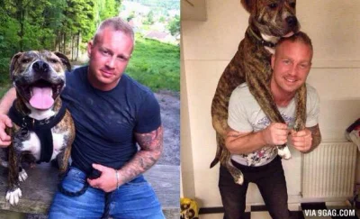 m.....l - #pies #dania #denmark #pitbull 
27 letni mężczyzna popełnił samobójstwo po...
