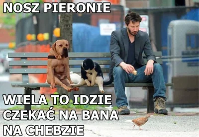 merti - #heheszki #humorobrazkowy #keanureeves #slask #slaskagodka